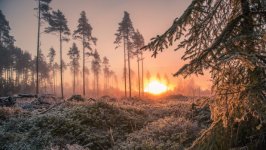 Desktop wallpaper. Nature. ID:152615