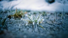 Desktop wallpaper. Nature. ID:153695