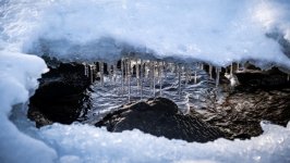 Desktop wallpaper. Nature. ID:153740