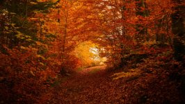 Desktop wallpaper. Nature. ID:154415