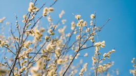 Desktop wallpaper. Nature. ID:154482