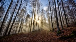Desktop wallpaper. Nature. ID:154545