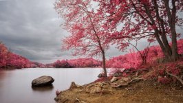 Desktop wallpaper. Nature. ID:154628