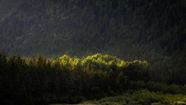 Desktop wallpaper. Nature. ID:154684