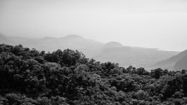 Desktop wallpaper. Nature. ID:156063