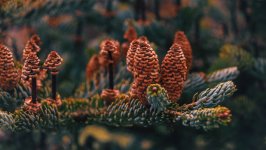 Desktop wallpaper. Nature. ID:156566
