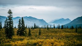 Desktop wallpaper. Nature. ID:156701