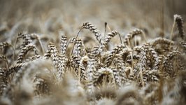Desktop wallpaper. Nature. ID:157335