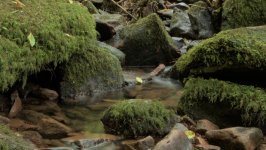 Desktop wallpaper. Nature. ID:157359