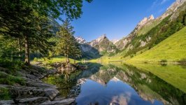 Desktop image. Nature. ID:157707