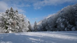Desktop wallpaper. Nature. ID:157909
