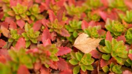 Desktop wallpaper. Nature. ID:157947