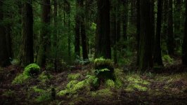Desktop wallpaper. Nature. ID:158330
