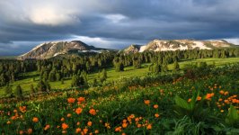 Desktop wallpaper. Nature. ID:159069
