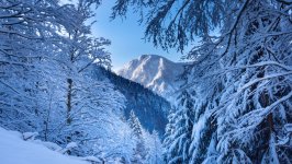 Desktop wallpaper. Nature. ID:159081