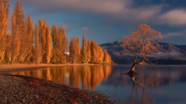 Desktop wallpaper. Nature. ID:159242