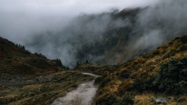 Desktop wallpaper. Nature. ID:159298