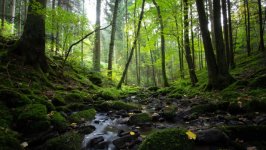 Desktop wallpaper. Nature. ID:159306