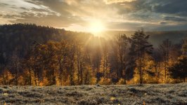 Desktop wallpaper. Nature. ID:159396