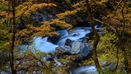 Desktop wallpaper. Nature. ID:159397