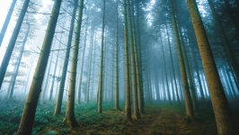 Desktop wallpaper. Nature. ID:159430