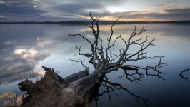 Desktop wallpaper. Nature. ID:159596