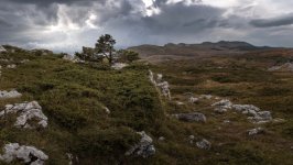 Desktop wallpaper. Nature. ID:159605