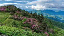 Desktop wallpaper. Nature. ID:159677