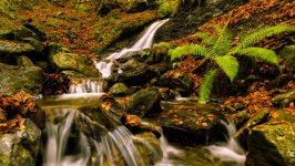 Desktop wallpaper. Nature. ID:159701
