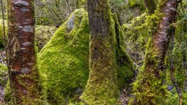 Desktop wallpaper. Nature. ID:159704