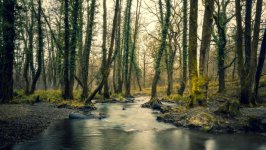 Desktop wallpaper. Nature. ID:159933