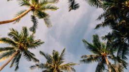 Desktop wallpaper. Nature. ID:160004