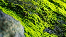 Desktop wallpaper. Nature. ID:161008