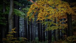 Desktop wallpaper. Nature. ID:161159