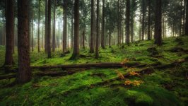 Desktop wallpaper. Nature. ID:161190