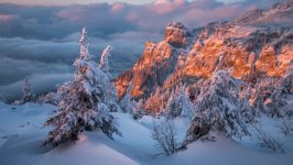 Desktop image. Nature. ID:161762