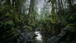 Desktop wallpaper. Nature. ID:162023