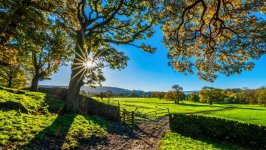 Desktop image. Nature. ID:162052