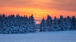 Desktop image. Nature. ID:162191