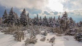 Desktop wallpaper. Nature. ID:162747