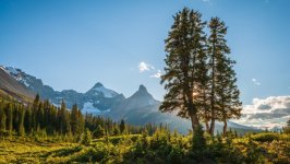 Desktop wallpaper. Nature. ID:163657