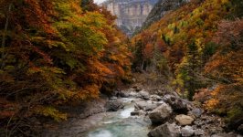 Desktop wallpaper. Nature. ID:162805