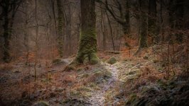 Desktop wallpaper. Nature. ID:162983