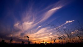 Desktop wallpaper. Nature. ID:163059