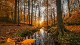Desktop wallpaper. Nature. ID:163093