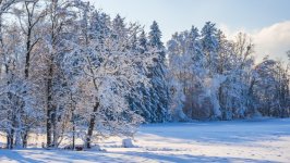Desktop wallpaper. Nature. ID:163243