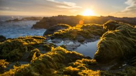 Desktop wallpaper. Nature. ID:163334