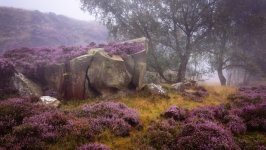 Desktop wallpaper. Nature. ID:163365