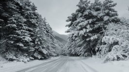 Desktop wallpaper. Nature. ID:163467