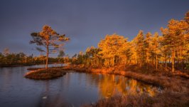 Desktop wallpaper. Nature. ID:163488